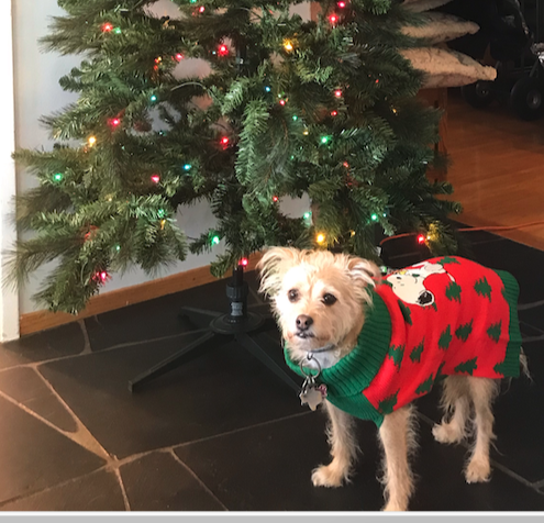 christmas ellf 1.png